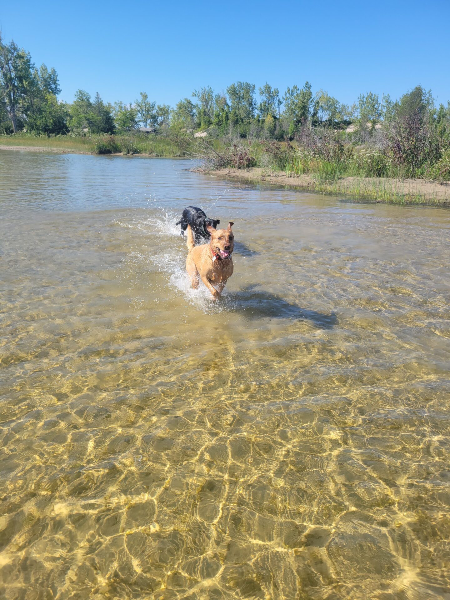 Northbeach Provincial Park - Dog Beach