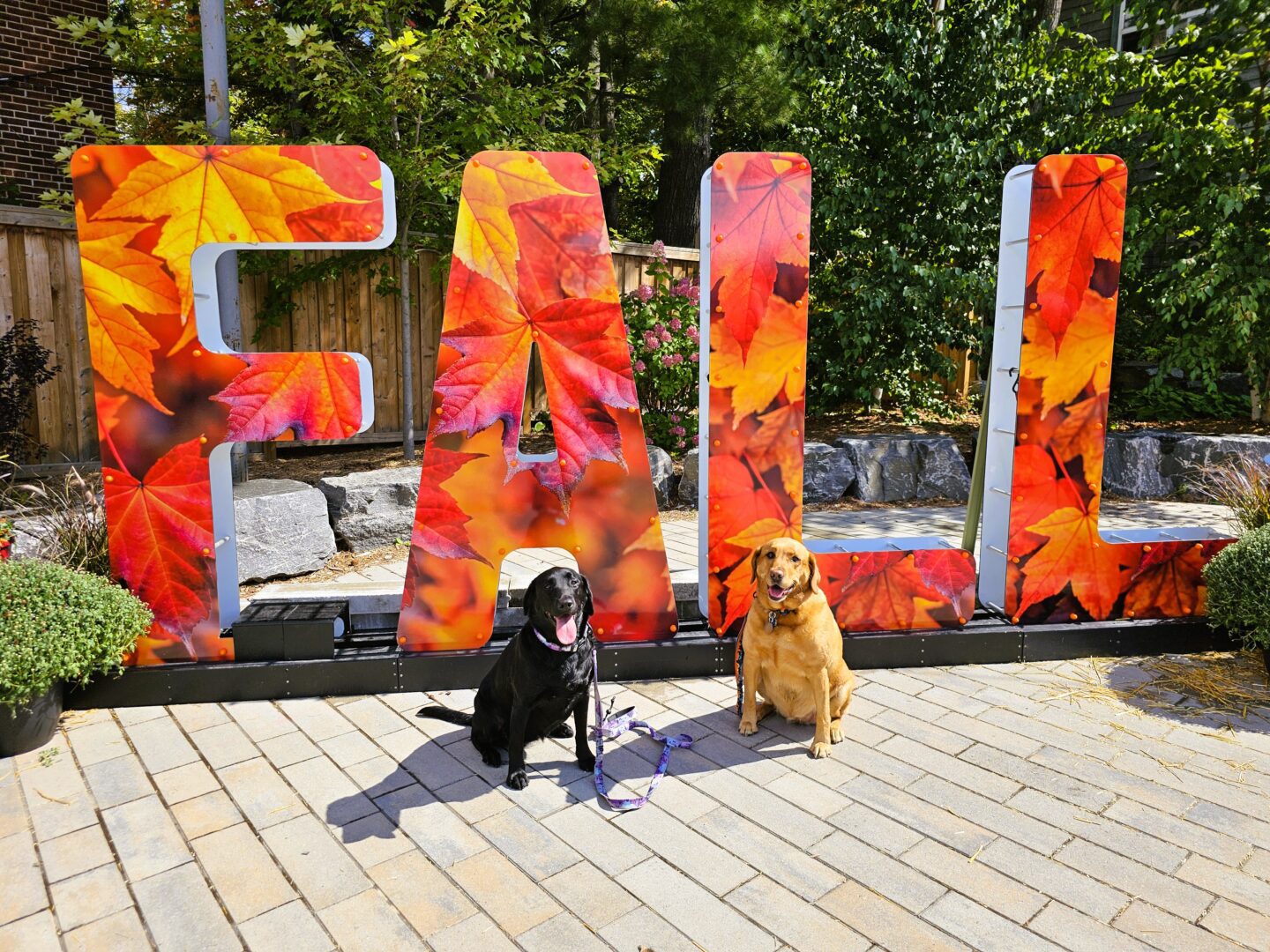 Exploring Huntsville with our Dogs – Our Week Vacation (Day 1)